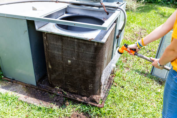 Best HVAC System Cleaning  in Fennville, MI