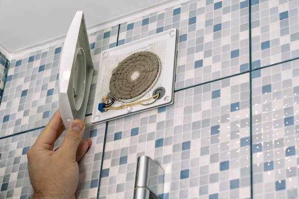 Best Ductwork Cleaning Services  in Fennville, MI