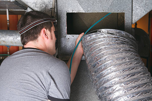 Best Duct Cleaning Specialists  in Fennville, MI