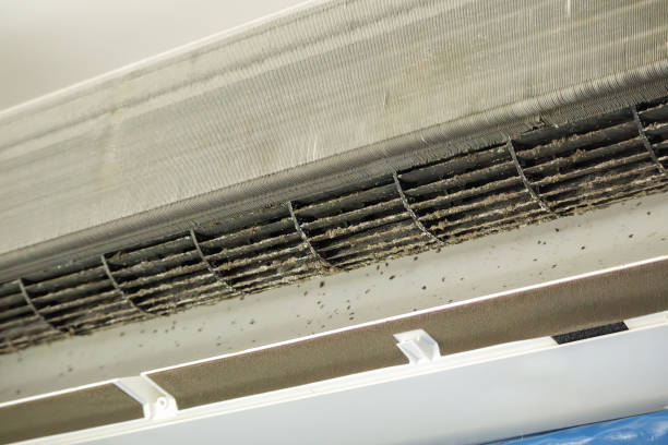  Fennville, MI Airduct Cleaning Pros