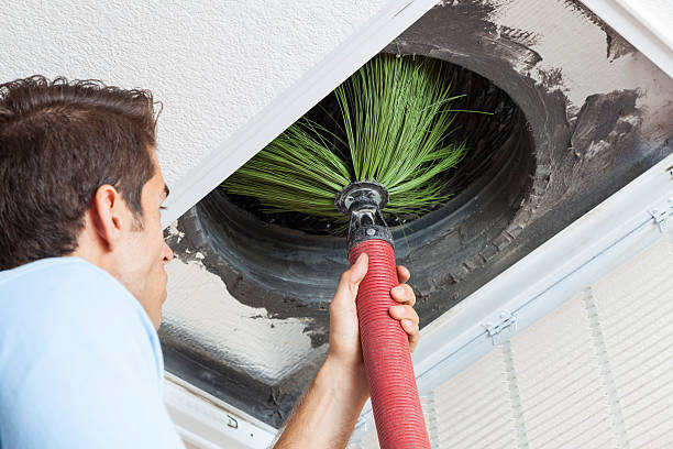 Best Affordable HVAC Duct Cleaning  in Fennville, MI