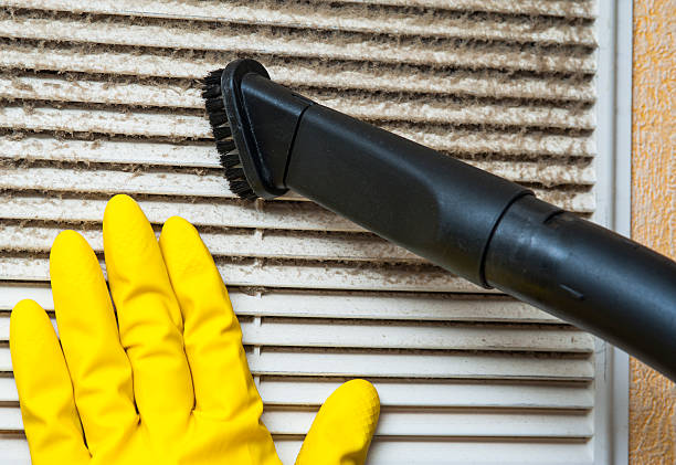Best HVAC Air Duct Cleaning  in Fennville, MI